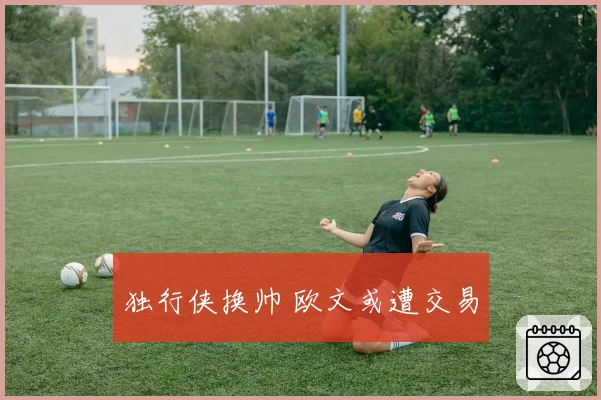 独行侠换帅 欧文或遭交易