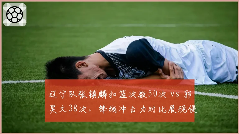 辽宁队张镇麟扣篮次数50次 vs 郭昊文38次,锋线冲击力对比展现侵略性差异