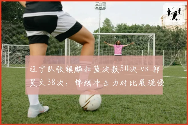 辽宁队张镇麟扣篮次数50次 vs 郭昊文38次,锋线冲击力对比展现侵略性差异